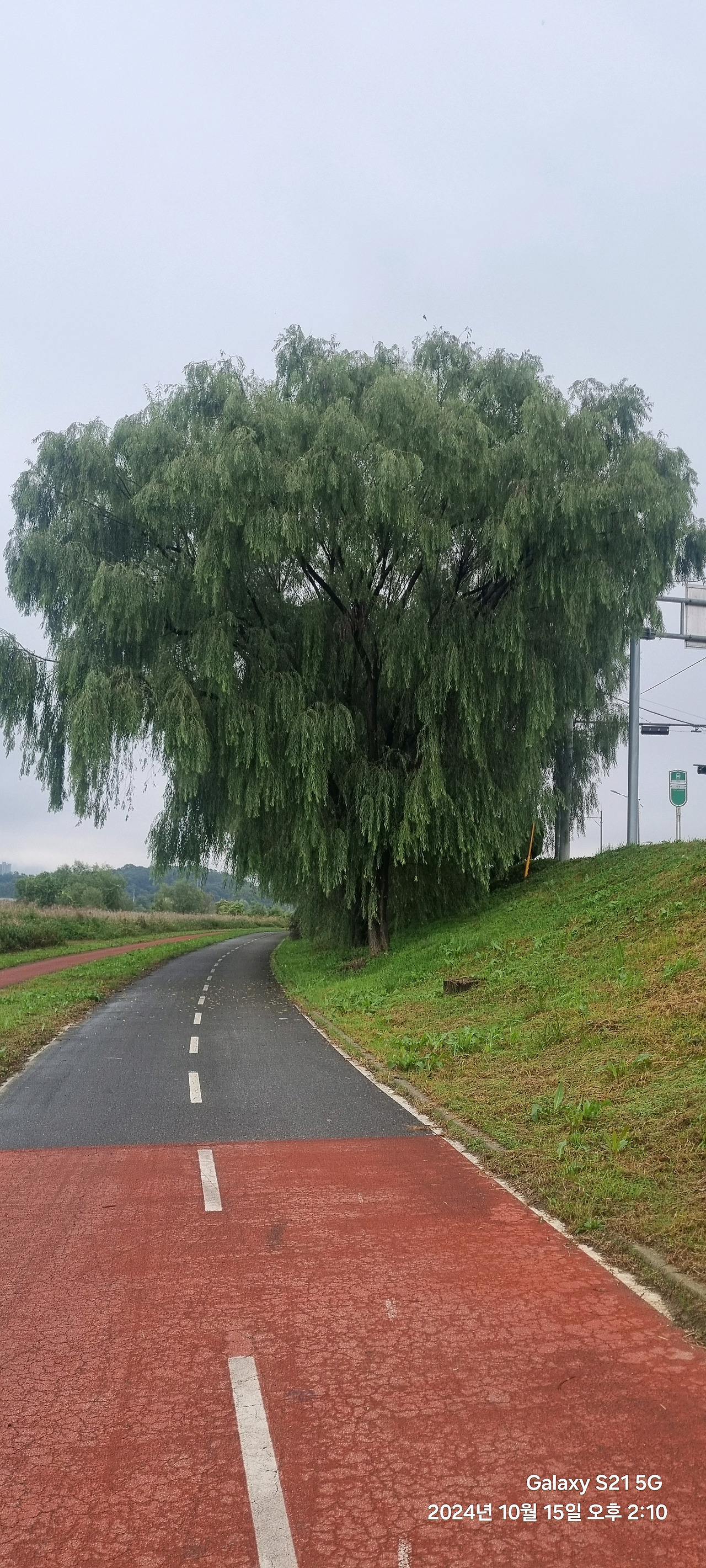 오천자전거길 3일 타고 성심당 대전 여행 (수안보, 소조령, 오창, 대청댐, 갑천, 성심당)