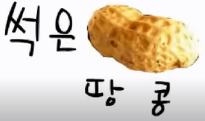 썩던콩(Southern Cross) 듣기/가사/플래시영상 3 ywAAAAAAQABAAACAUwAOw==