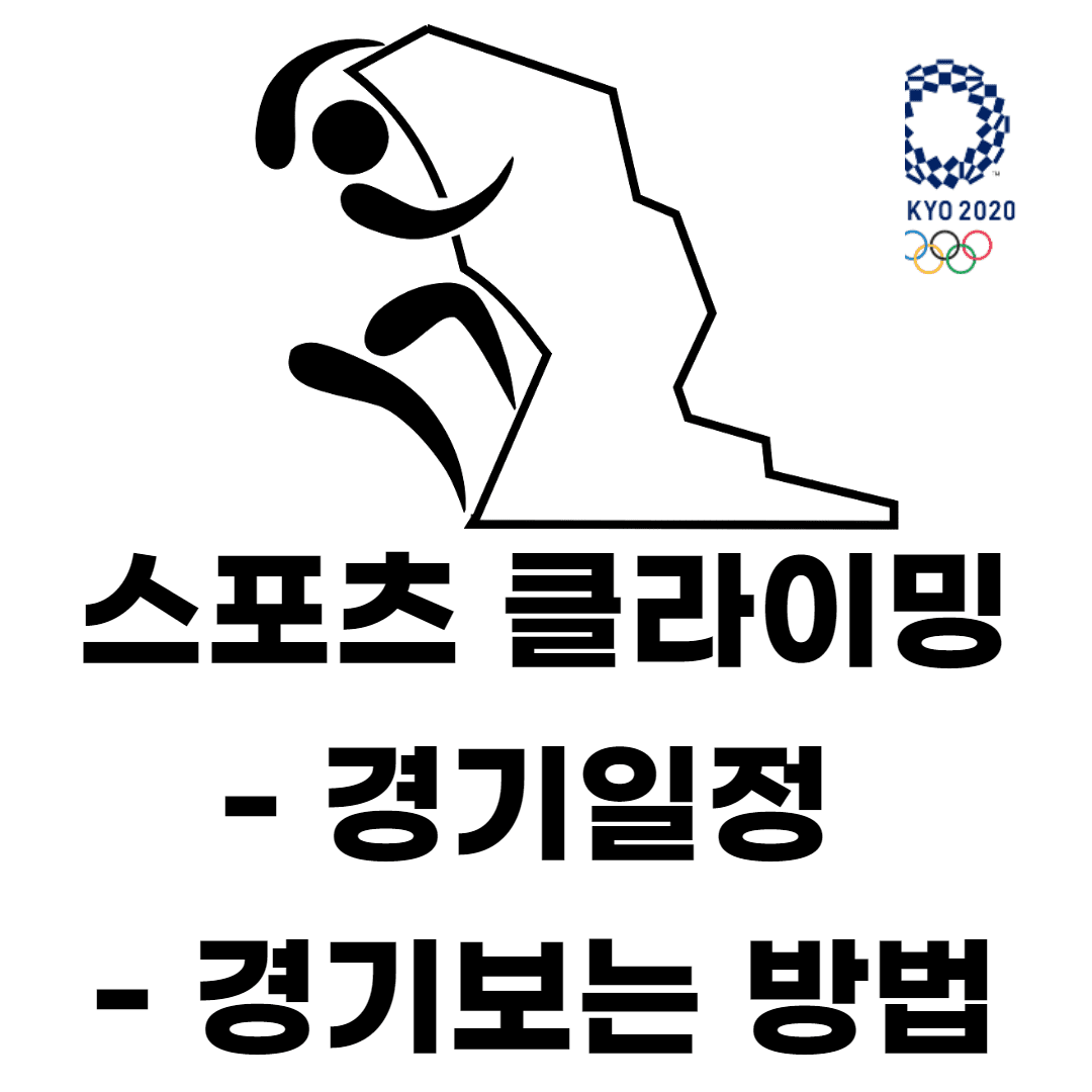 스포츠 클라이밍 여자 콤바인 결승 경기일정 및 경기보는 방법 ...