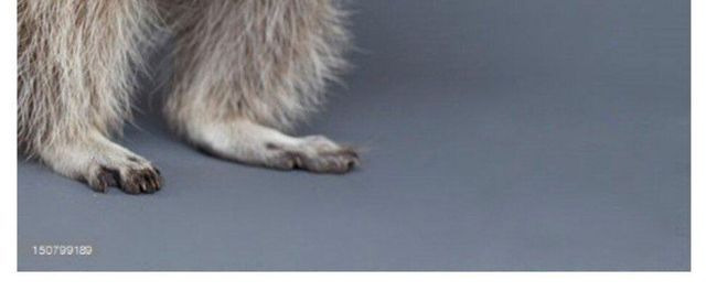 ?scode=mtistory2&fname=https%3A%2F%2Fblog.kakaocdn.net%2Fdn%2Fbrj511%2FbtrHDcExRlf%2FzqyolYBWEcATOGG9cNlzLK%2Fimg.jpg