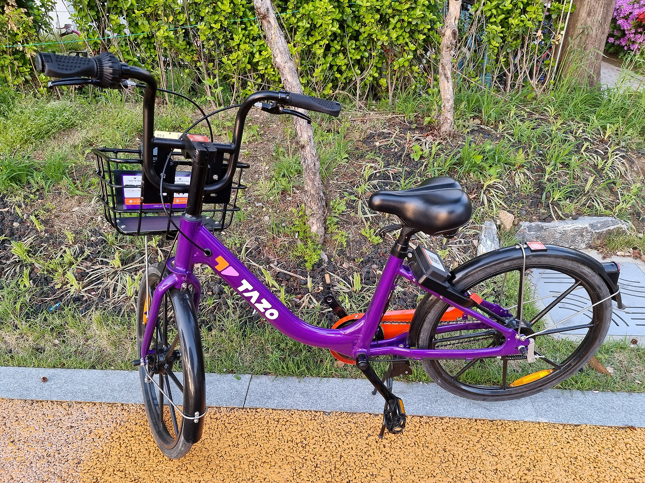 공유 자전거 대여