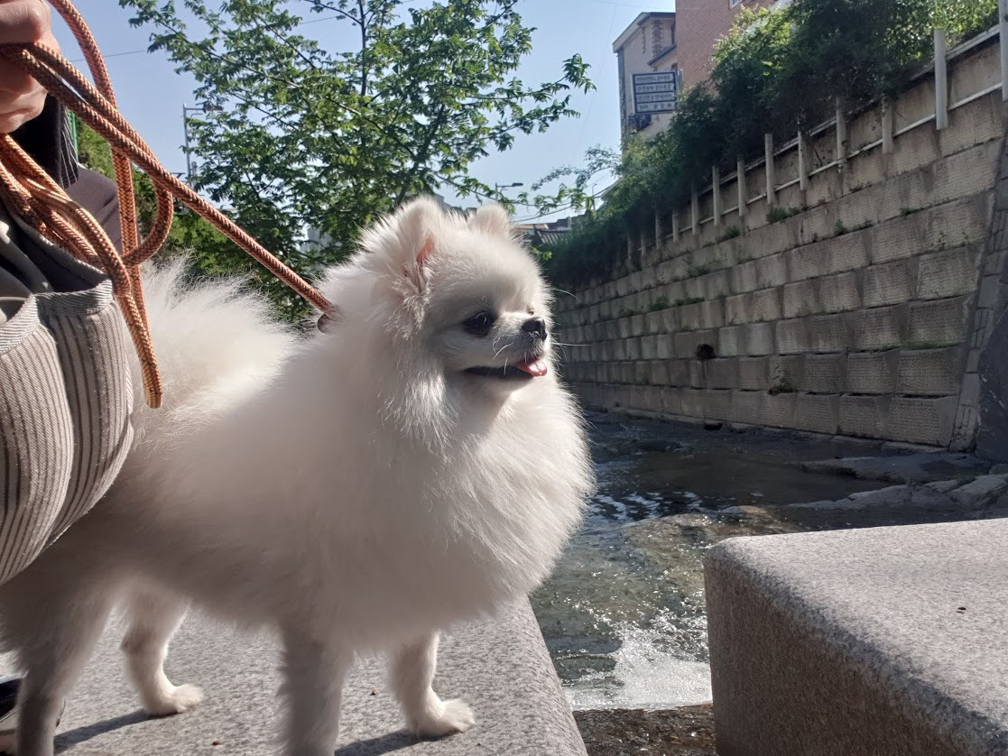 건강하게 사는 방법은 무엇일까? 2 ywAAAAAAQABAAACAUwAOw==