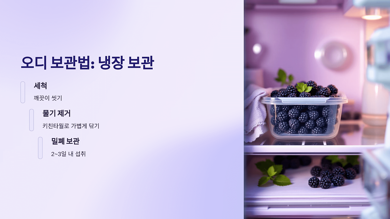 오디 효능 부작용 총정리