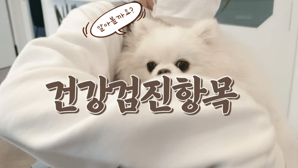 강아지 건강을 위한 필수 선택 : 반려견 건강 검진의 항목 정리 1 강아지건강검진-검진항목