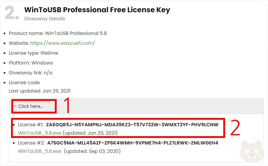 wintousb professional key