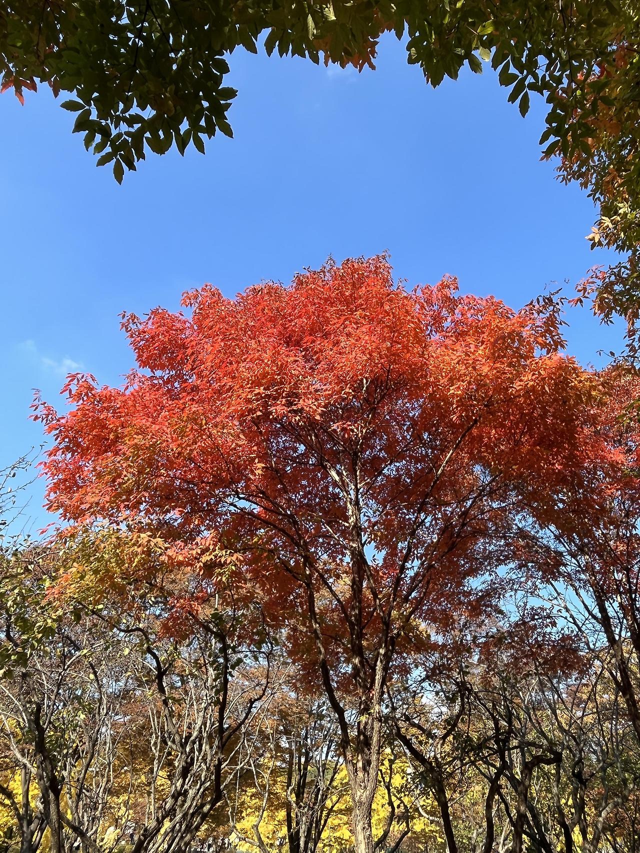 ?scode=mtistory2&fname=https%3A%2F%2Fblo