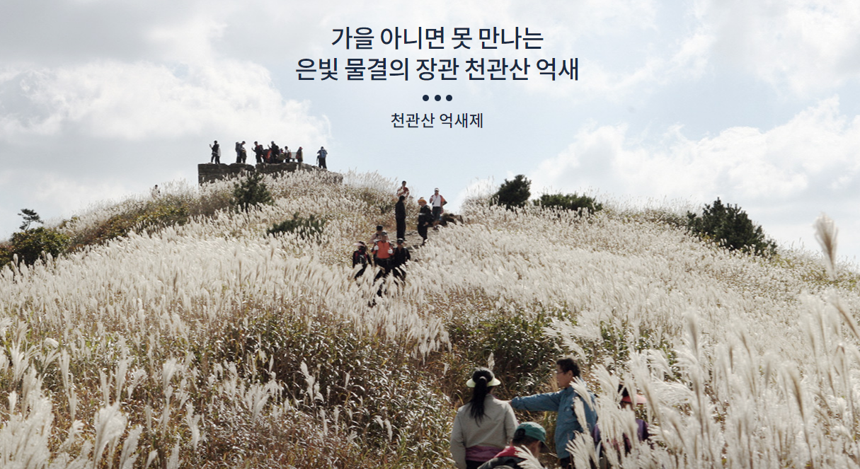 전국 억새 축제 : 하늘공원 민둥산 무등산 천관산 오서산 산정호수 영남알프스