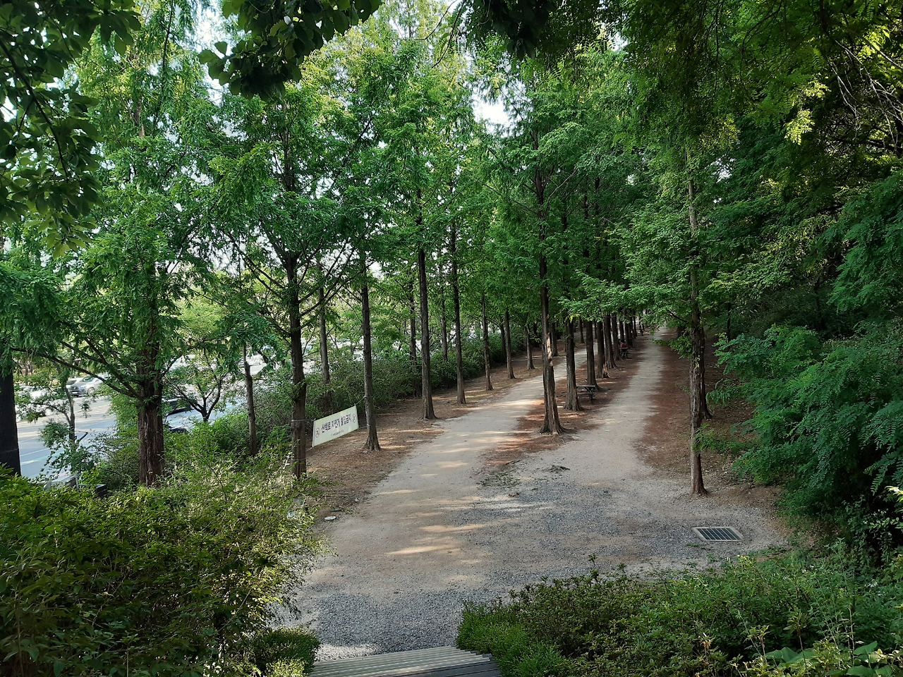 2.2km 연초록빛 향연! 월드컵공원 메타세쿼이아길 2 ywAAAAAAQABAAACAUwAOw==
