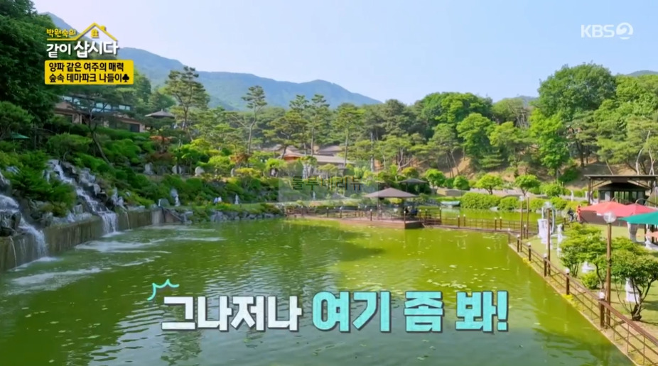 같이삽시다 여주 숲속 테마파크 촬영지 장소 위치 어디? 3 ywAAAAAAQABAAACAUwAOw==