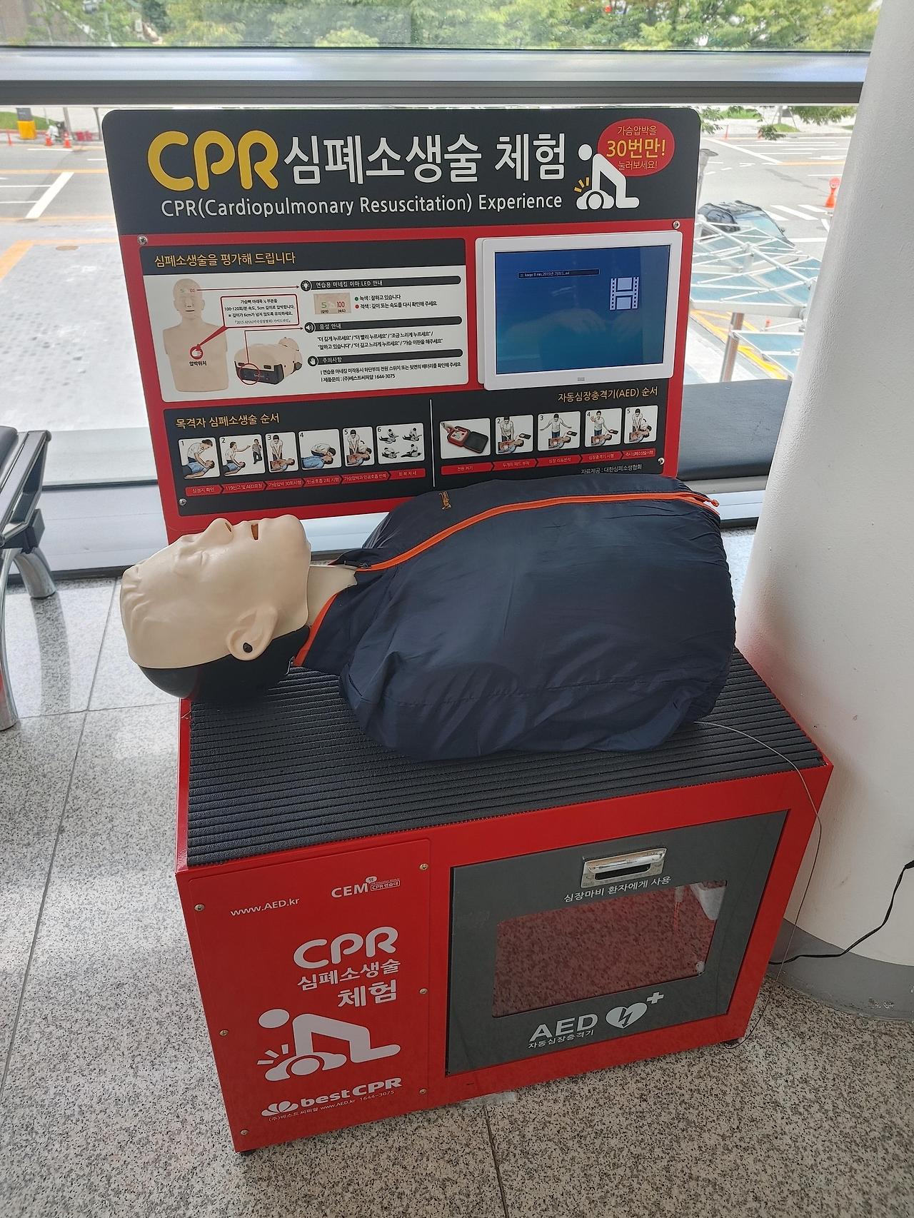 대전 로봇융합페스티벌 AI 로봇 축구 참가 후기 (4명씩 2팀)