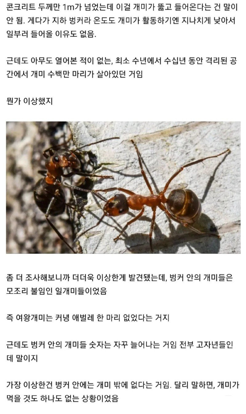 ?scode=mtistory2&fname=https%3A%2F%2Fblog.kakaocdn.net%2Fdn%2FbuCfjl%2FbtrFaOTwS5f%2FxbKDFVpyXtITOFAcPQ7LNK%2Fimg.jpg