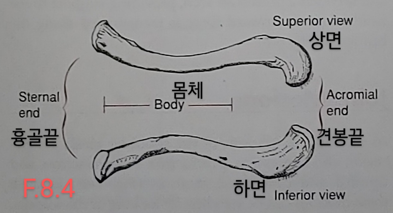 터칭이모션