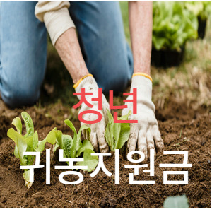 아로스 팝업