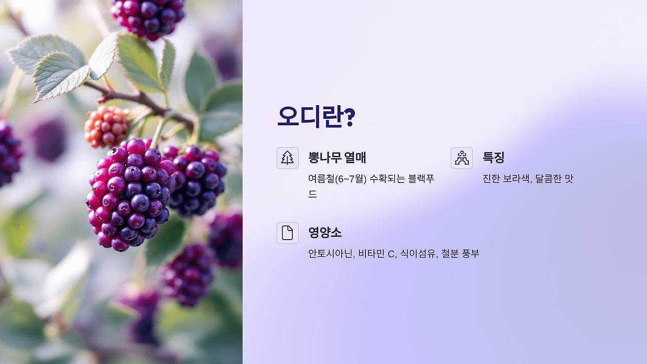 오디 효능 부작용 총정리