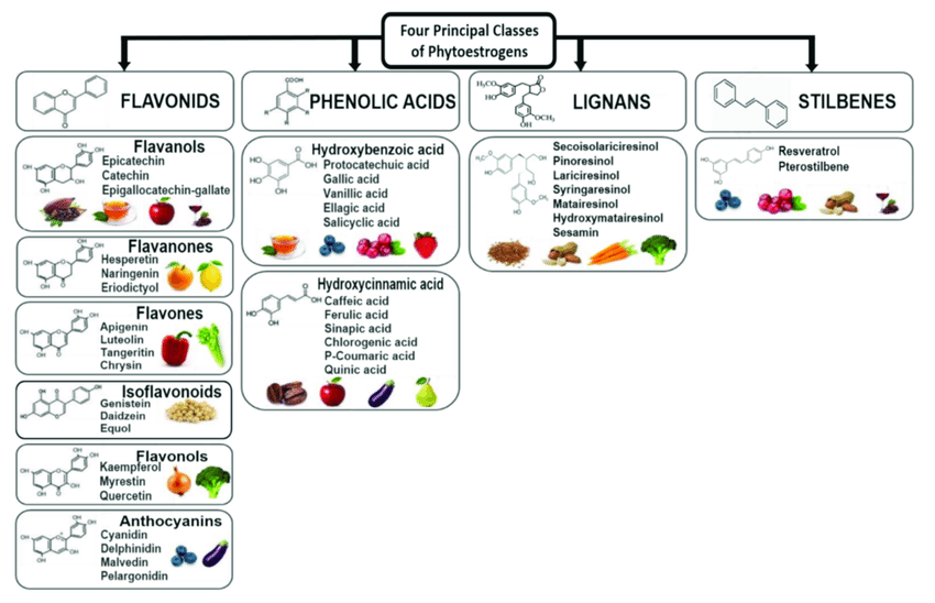 콩, 두유가 성조숙증, 여성암, 발기부전, 여유증을 유발한다고? 성조숙증 유발하는 단백질 종류