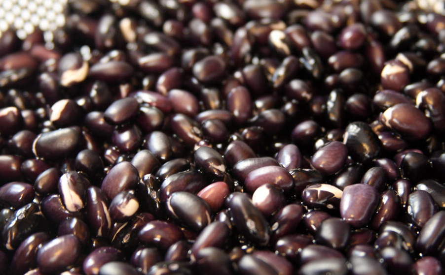 Benefits of superfood black beans