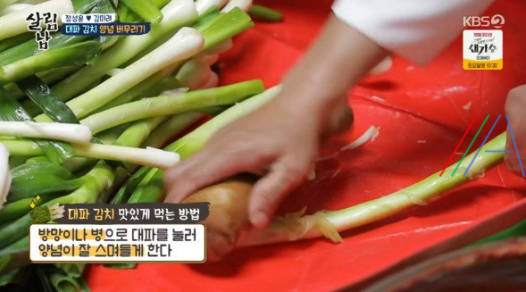 살림남 마약 김치 양념장, 총각무 김치 & 대파 김치 담그기 만들기 만드는 법 레시피, 정성윤 임성근 김장 김치 담그는법 만들기 레시피 - 2시간 김장김치 + 비법 양념장 19 ywAAAAAAQABAAACAUwAOw==
