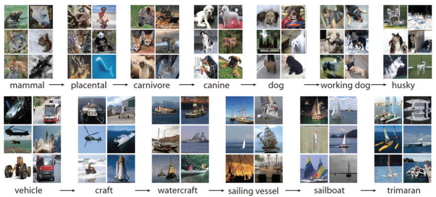 ImageNet Dataset