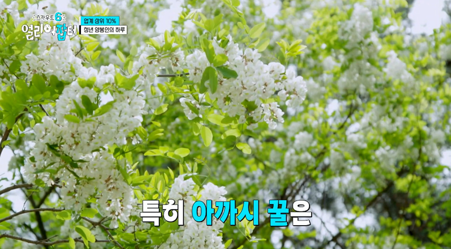 옛날이랑 다른 요즘 매출 4억 나온다는 농업.jpg | 인스티즈