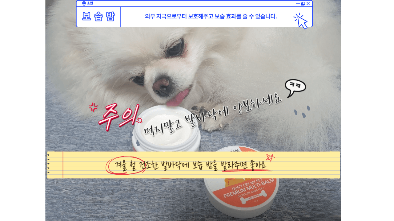 겨울철 건조한 날씨에 발바닥 건강 꼭 챙기세멍! 2 ywAAAAAAQABAAACAUwAOw==