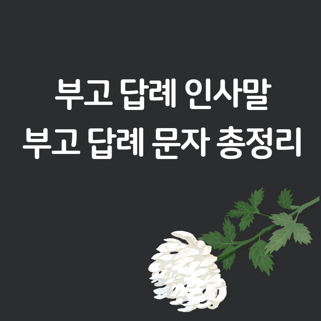 부고 답례 인사말, 조의 답례 인사말, 부고 답례 문자 총정리!