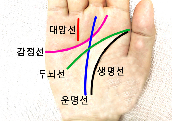 막쥔 손금(일자 손금) 풀이 장점, 단점 알아보기::이야기 보따리