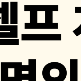 알뜰폰 명의도용, 셀프 개통 보안, 알뜰폰 보이스피싱, 유심 도용 피해