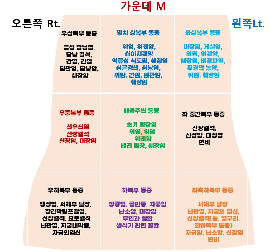 복부 통증, 위치별로 알아보는 복부 질환의 비밀!