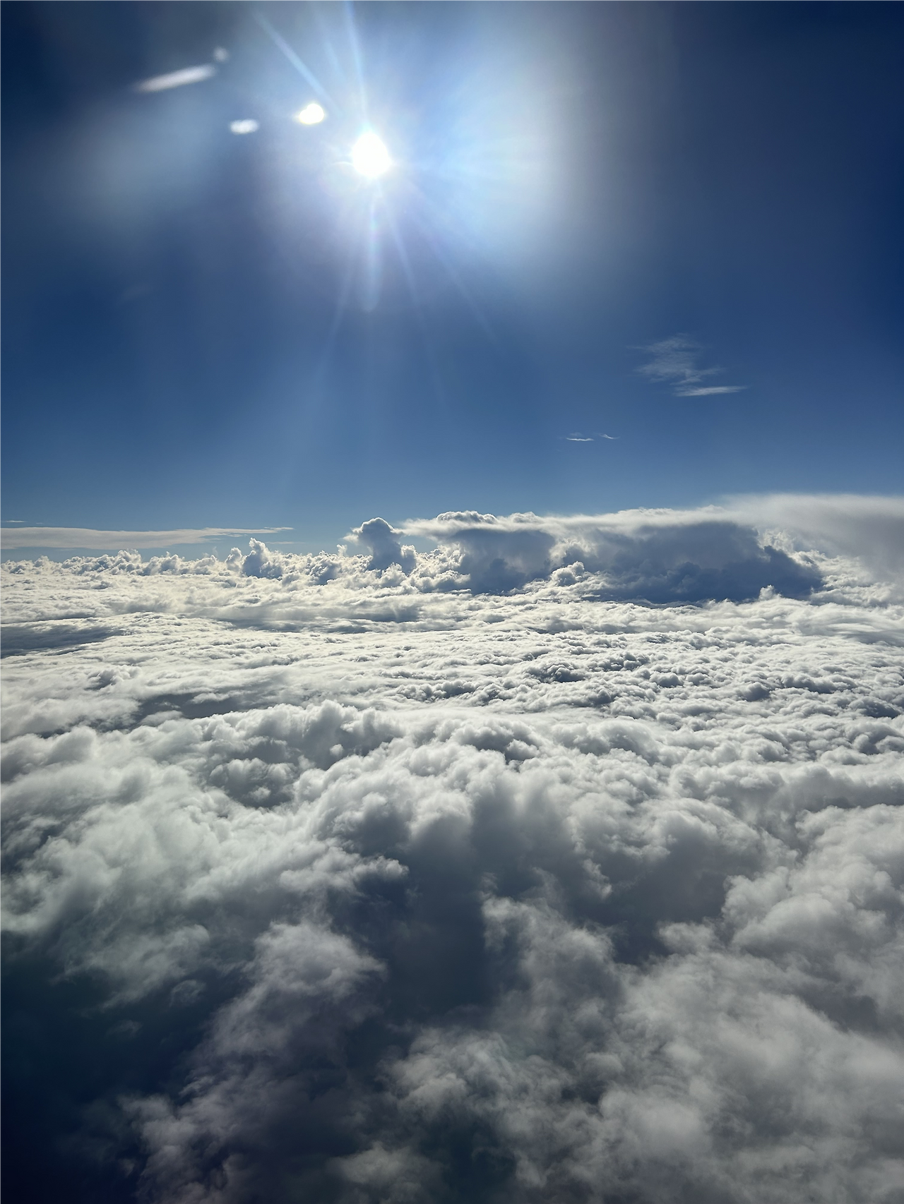 밴쿠버 인천공항 아시아나 & 에어캐나다 20시간 경유 후기