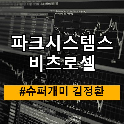 파크시스템스 비츠로셀 벨류에이션(feat슈퍼개미김정환)