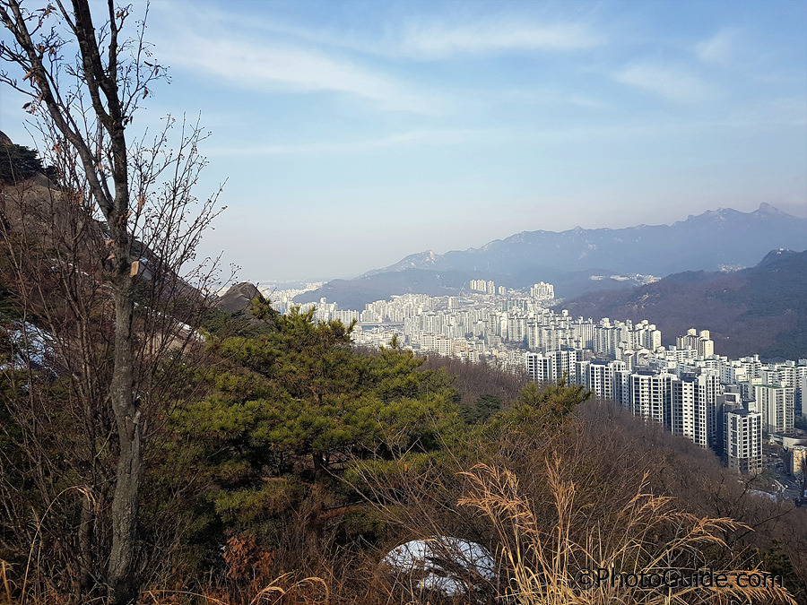 서대문 안산 둘레길, 독립문-안산-홍제천 코스, 안산자락길에서 새 봄을 기다리다