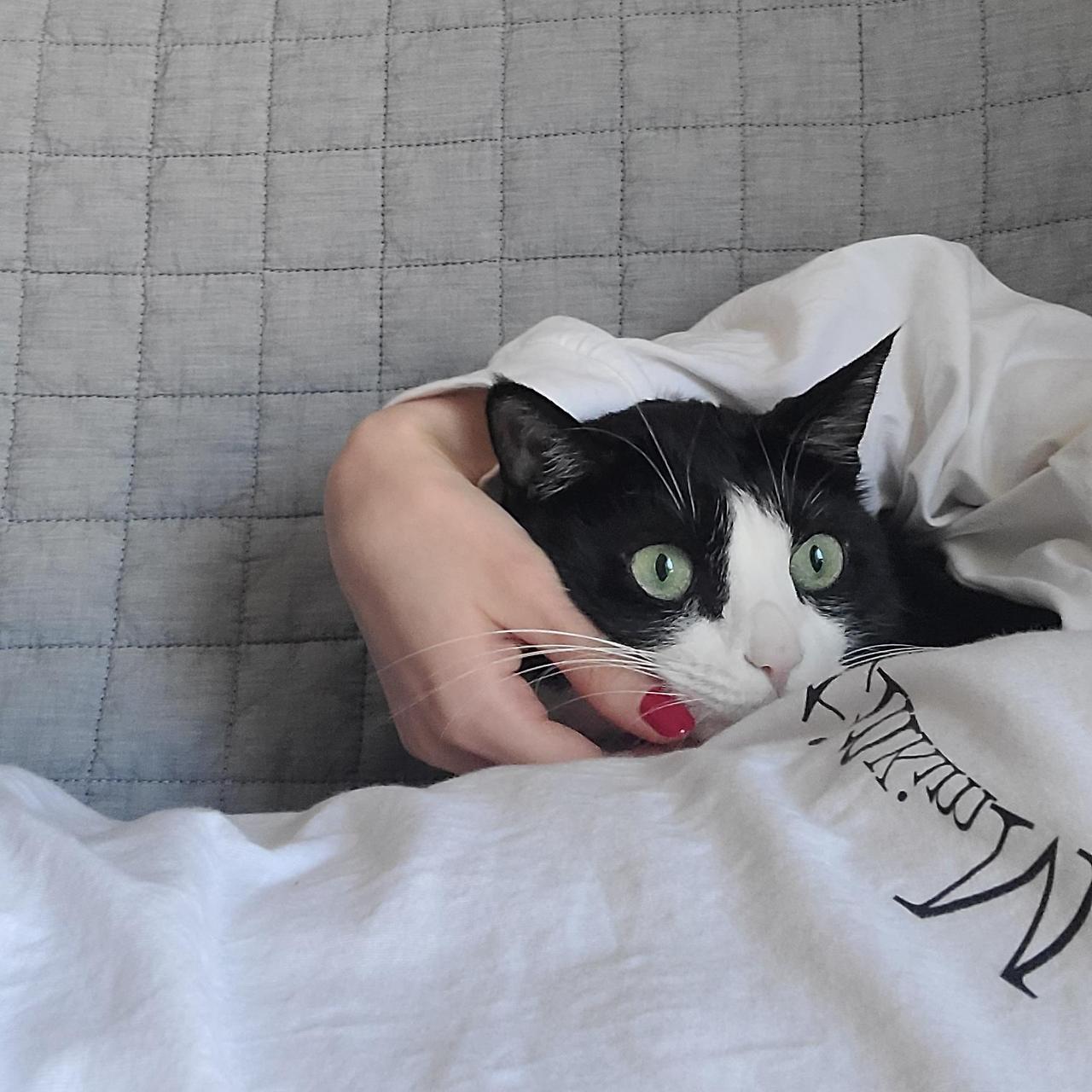 ?scode=mtistory2&fname=https%3A%2F%2Fblo