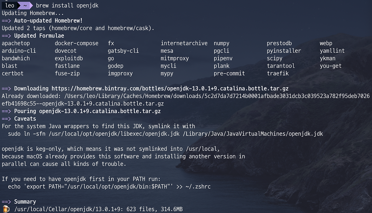 install openjdk 11 mac brew