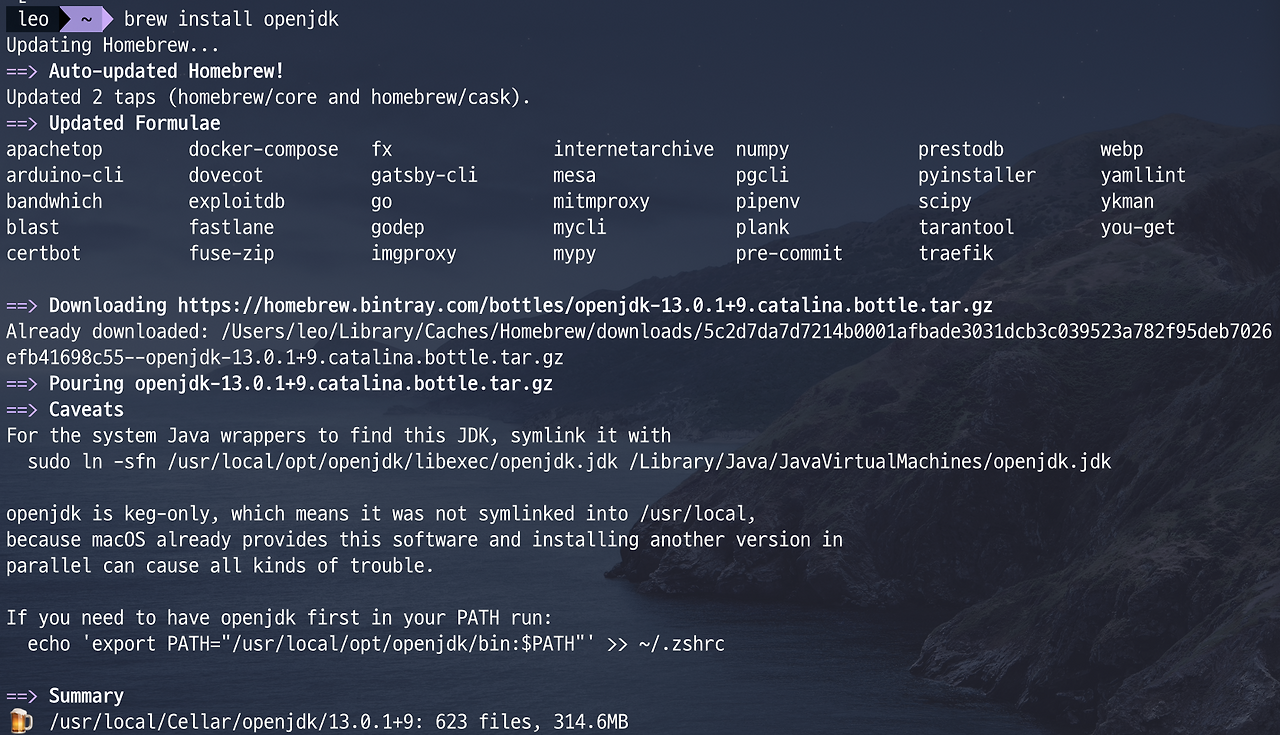 brew install openjdk 11