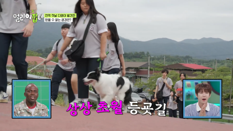 근대 5종 국가대표 전웅태 선수 코치였다는 승마계 오은영 | 인스티즈