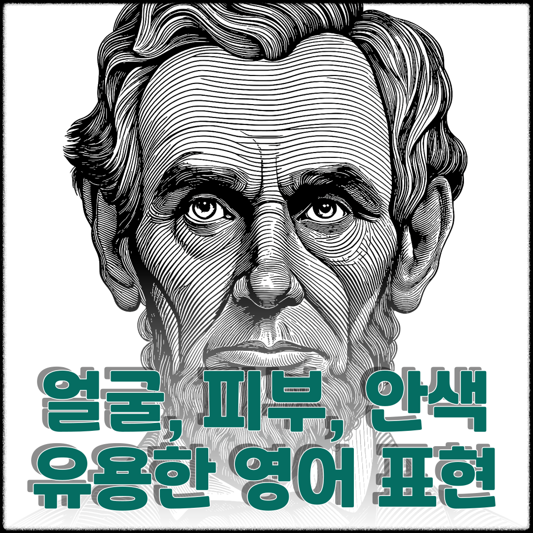 얼굴 피부 안색과 관련한 유용한 영어 표현 1 얼굴 피부 안색과 관련한 유용한 영어 표현
