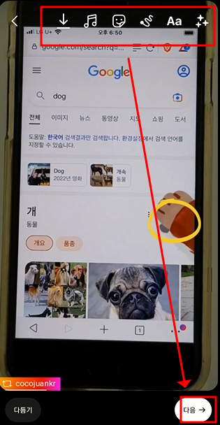 인스타 리그램 사용 방법 (앱 Repost - Instagram) 10 ywAAAAAAQABAAACAUwAOw==