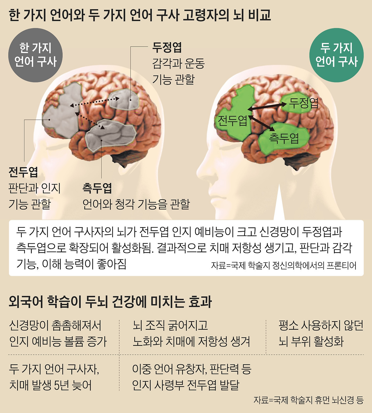 011. 두뇌 활성화