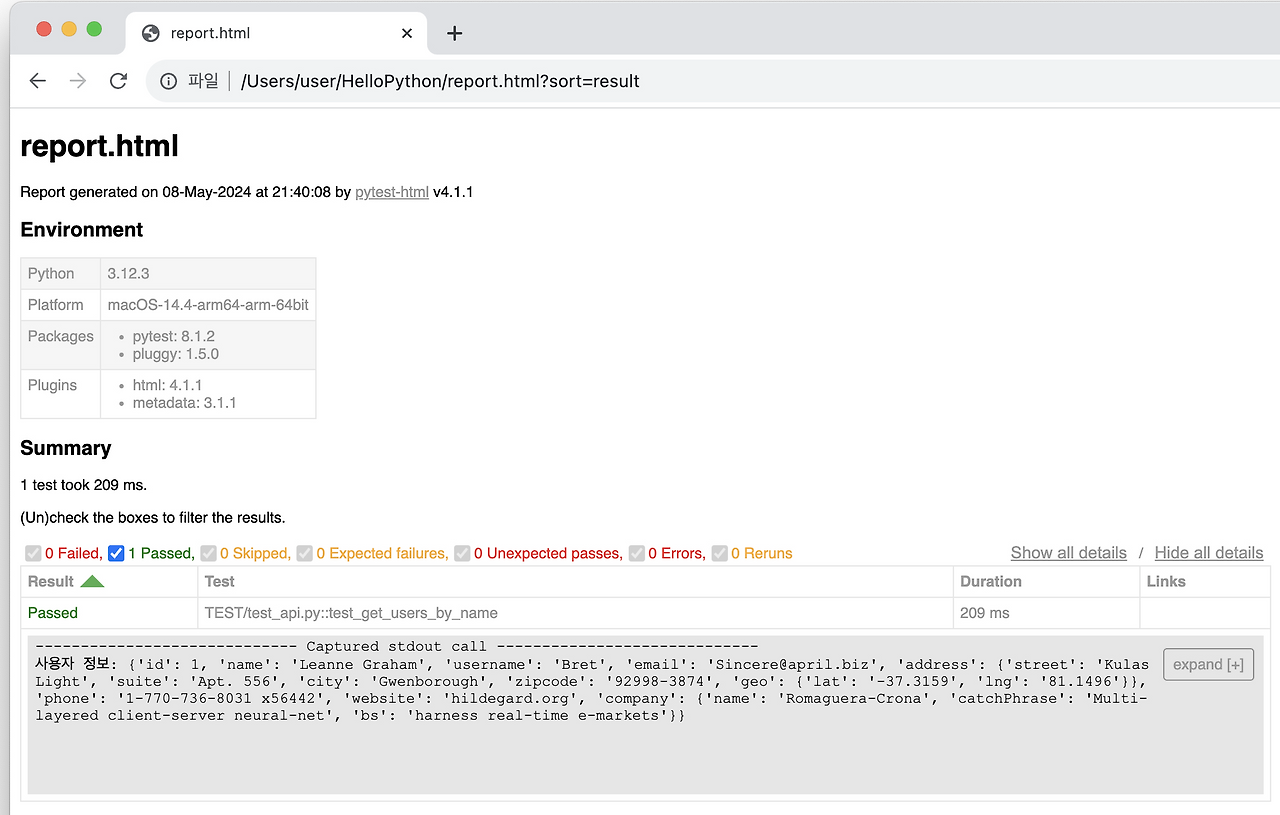  python pytest api 