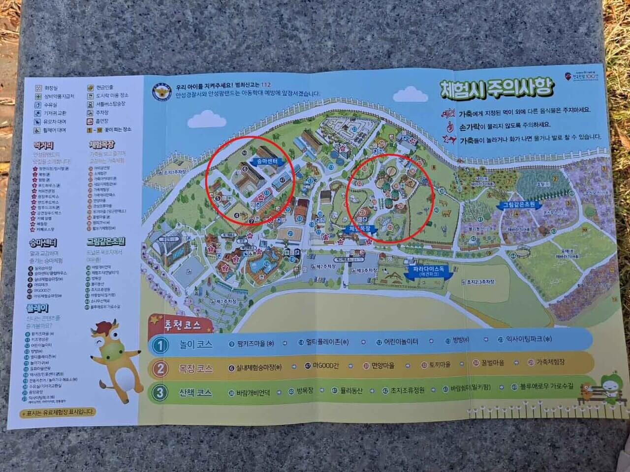 안성 팜랜드 핑크뮬리 10월 국내 여행지