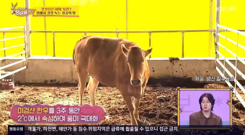 당나귀귀 김치헌 500억 클럽 고깃집 식당 촬영지 어디? 217회 윤정수 정호영 6 ywAAAAAAQABAAACAUwAOw==