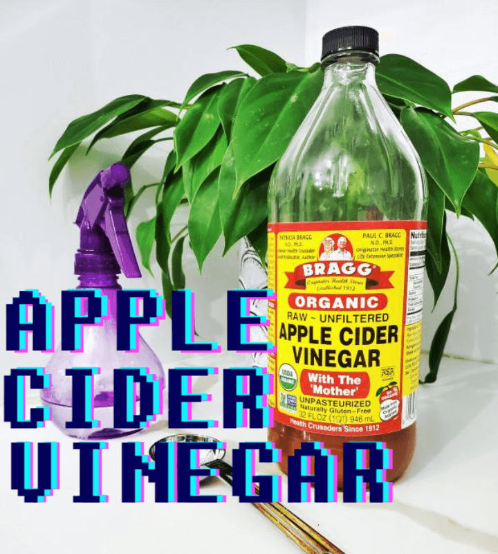 다이어트가 필요할 때 애사비 : Apple Cider Vinegar 1 ywAAAAAAQABAAACAUwAOw==