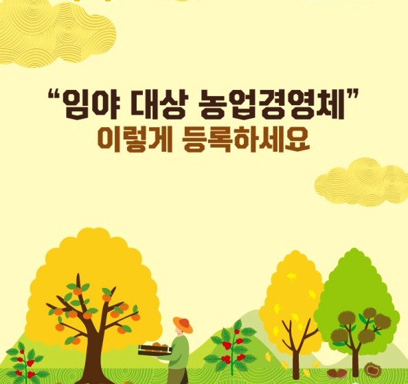 임야소유 임업인 '임업 직불제' 시행.. 평균 167만원씩 지급 1 ywAAAAAAQABAAACAUwAOw==