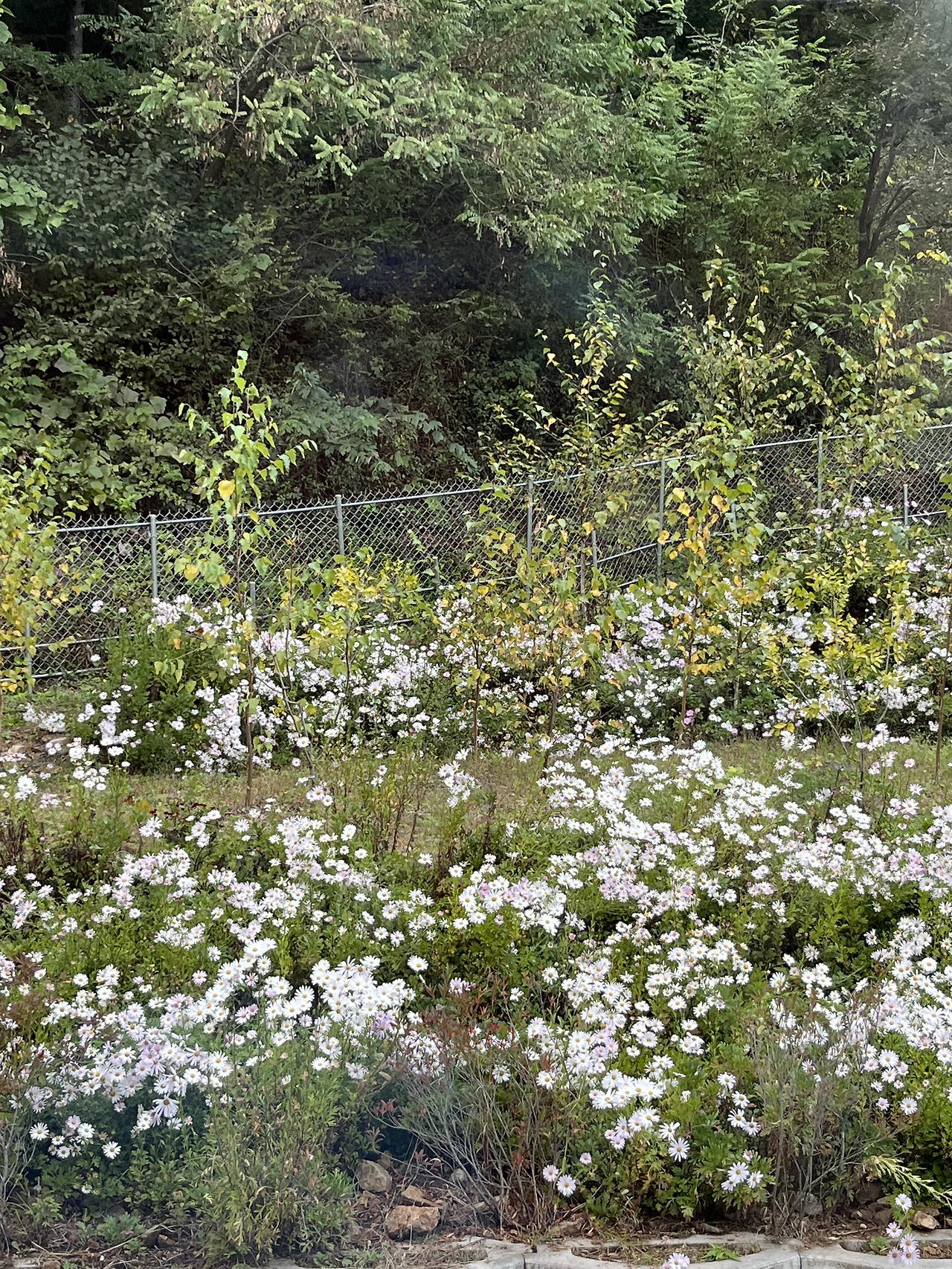 ?scode=mtistory2&fname=https%3A%2F%2Fblo