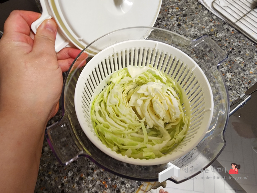 다이어트 메뉴 추천 단백질 월남쌈으로 일주일만에 2KG 감량했어요 3 모던하우스-야채탈수기-야채손질