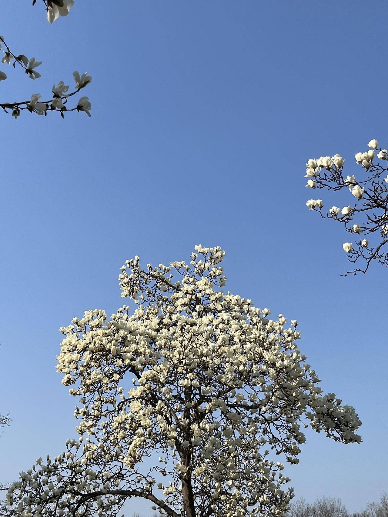 ?scode=mtistory2&fname=https%3A%2F%2Fblo