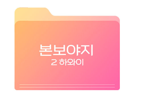 본보야지2