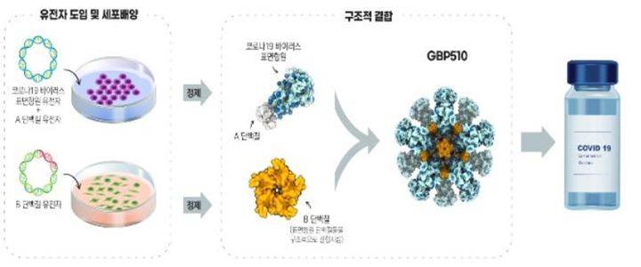 국산 코로나 백신 3상 임상 승인 sk바이오사이언스