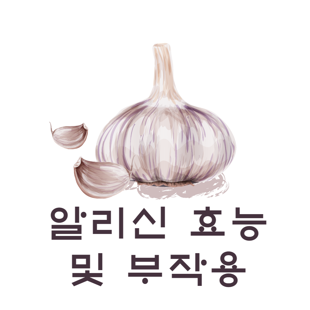 알리신(Allicin) 효능 및 부작용, 복용 방법, 영양제 비교