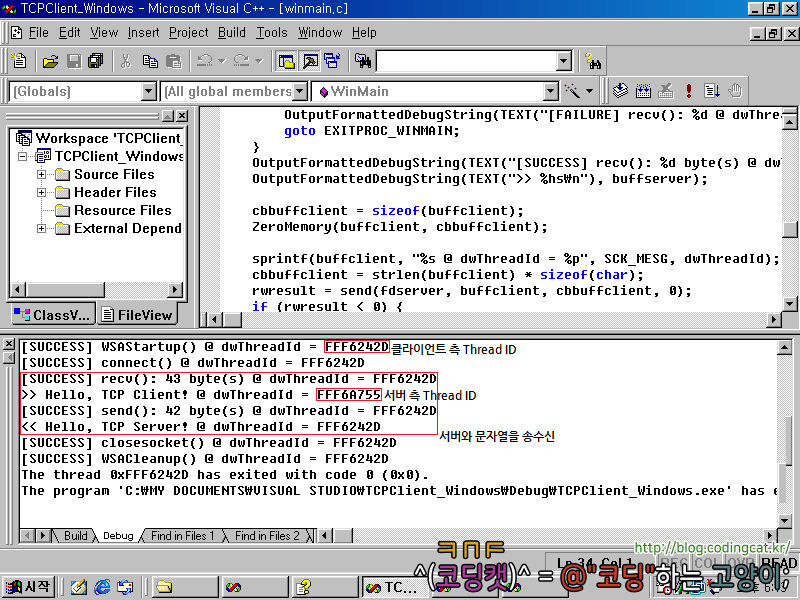 [BSD Socket] WinSock 버전 TCP(UDP) 클라이언트측 코드